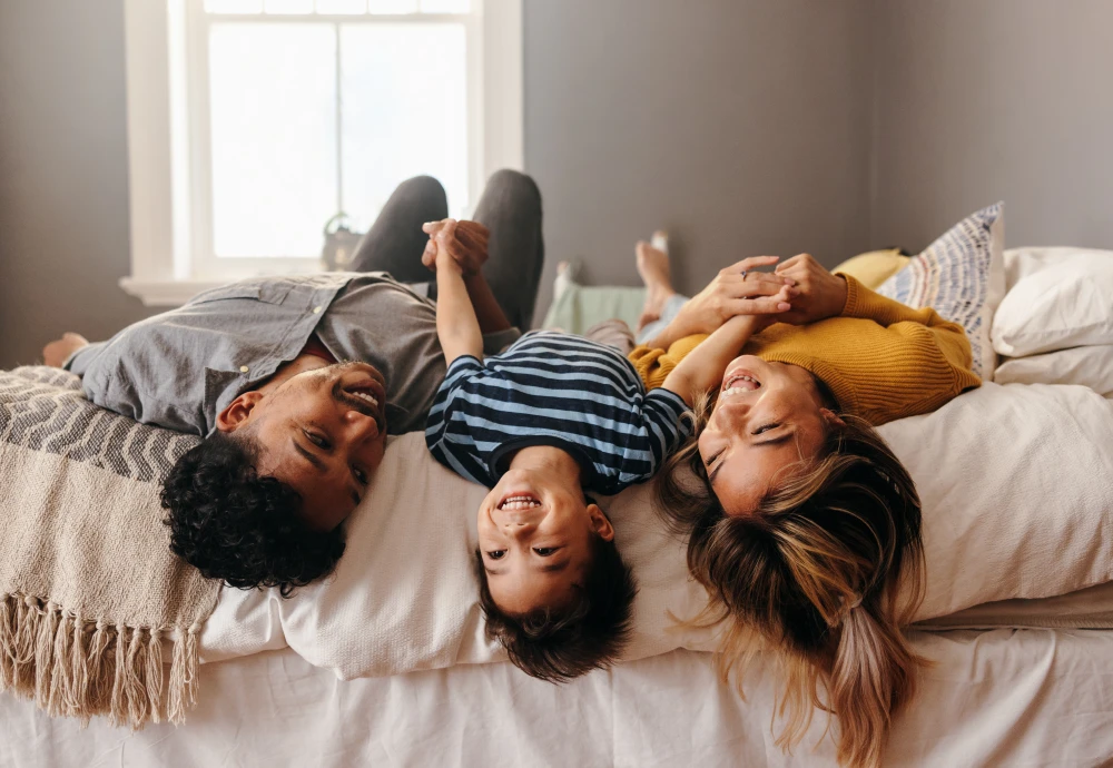 tech-friendly multifunctional couch bed combo